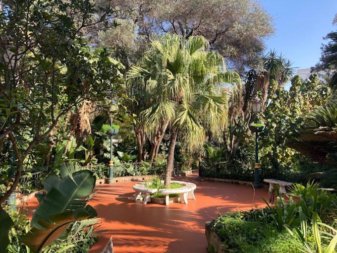 Hotel El Djazair El Mouradia 外观 照片