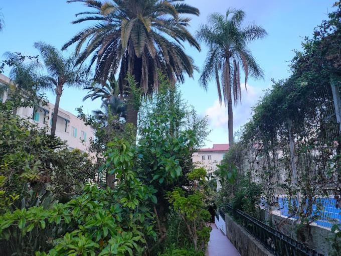 Hotel El Djazair El Mouradia 外观 照片